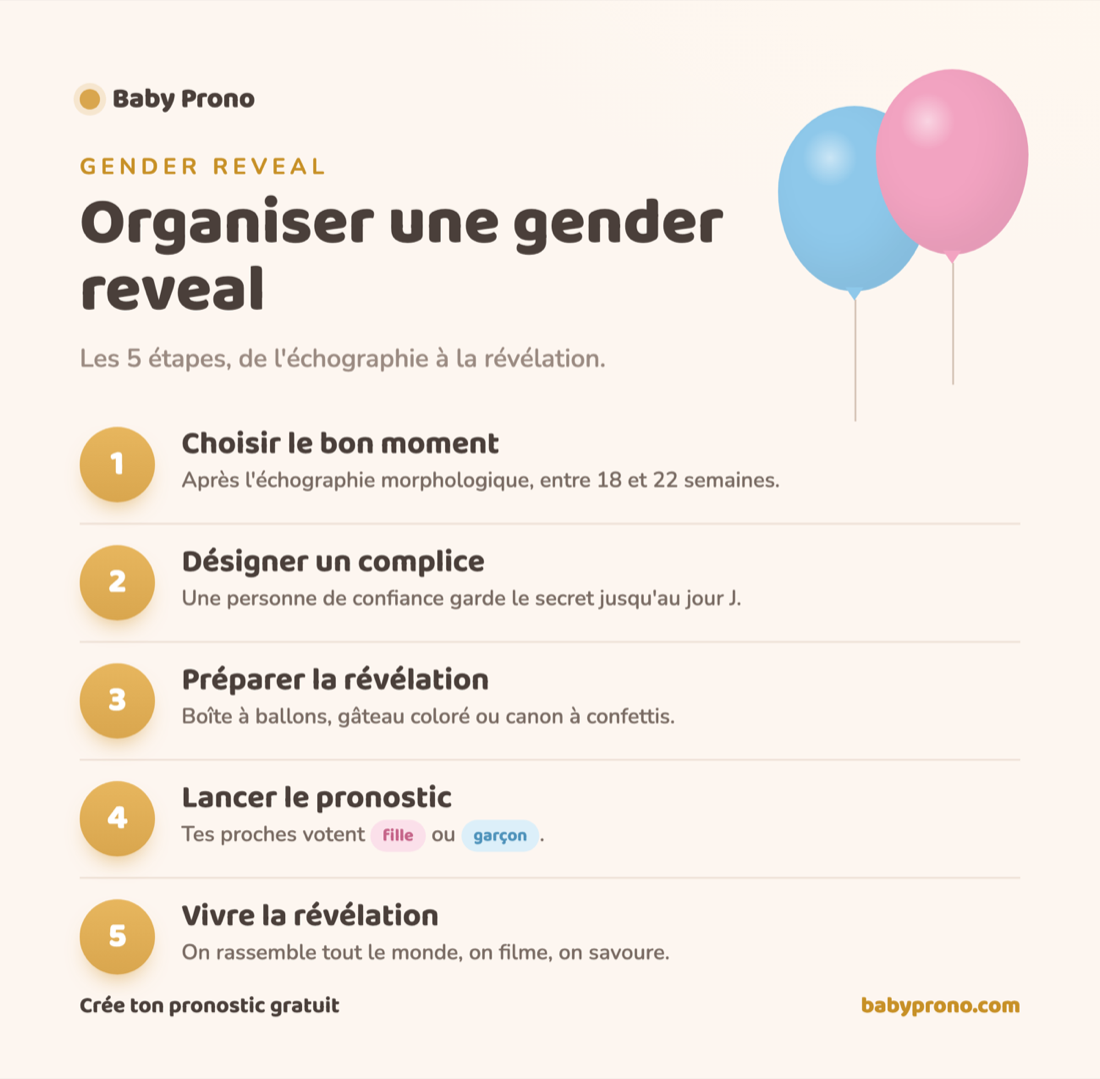Infographie des 5 étapes pour organiser une gender reveal, de l'échographie à la révélation